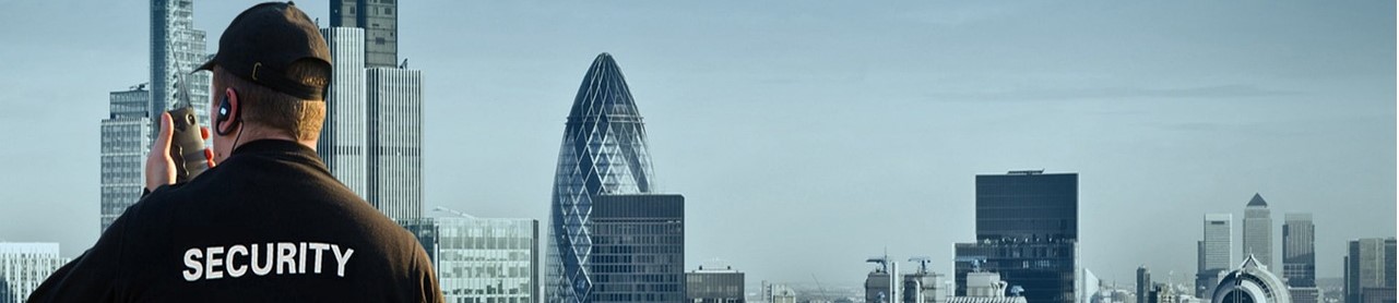 banner-img