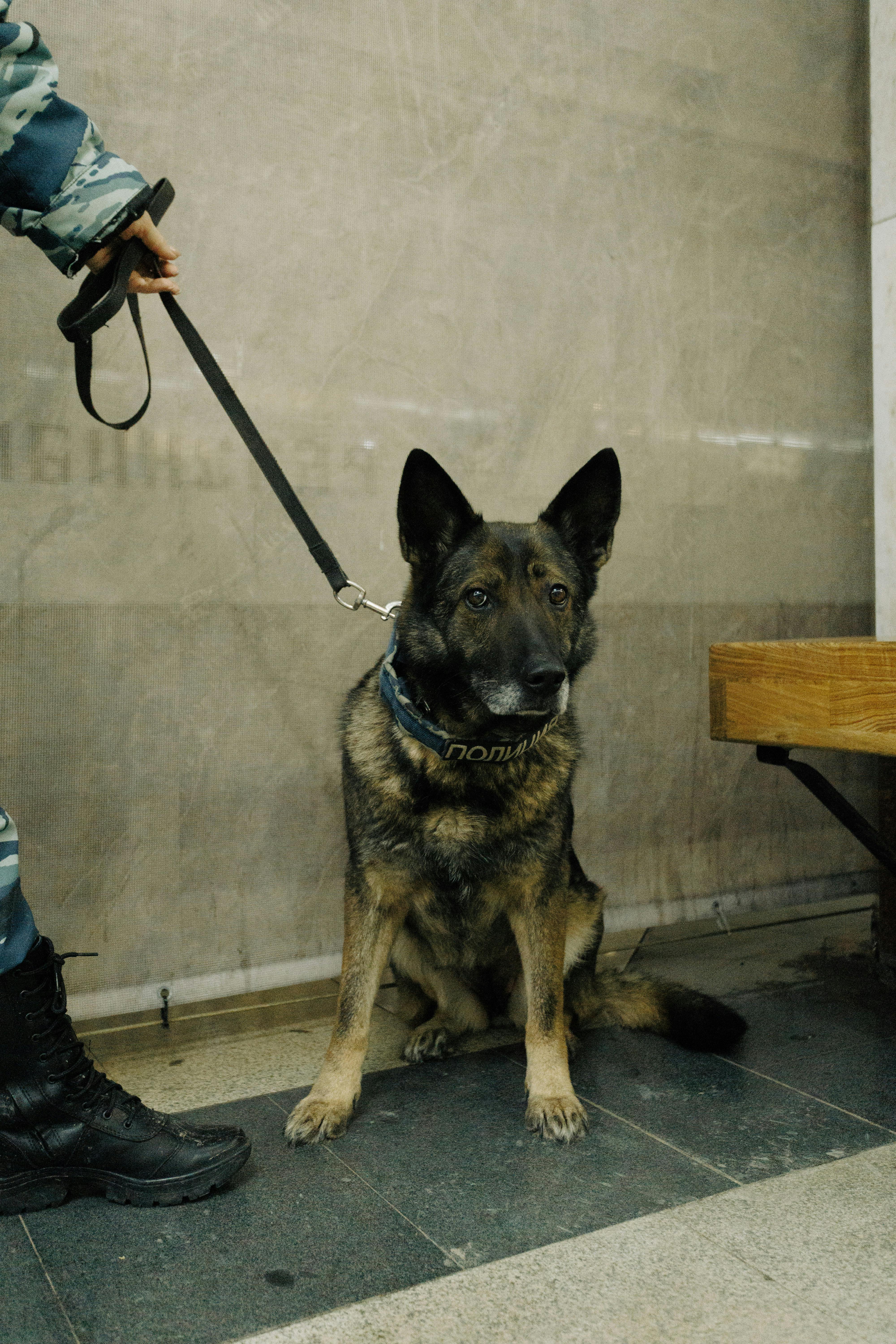 service-img